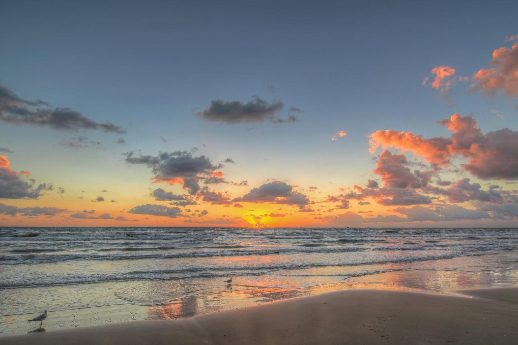 Sunchase IV Villa South Padre Island Kamer foto